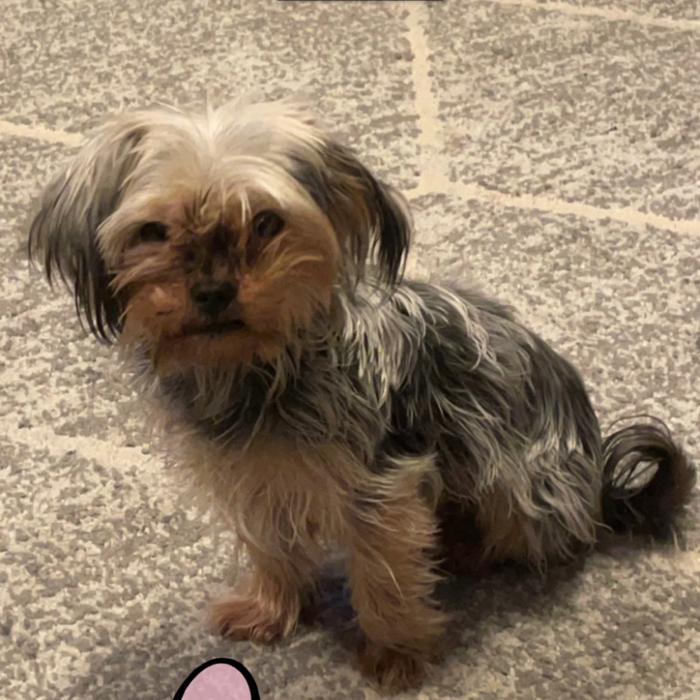 Meet your Posher, Marine